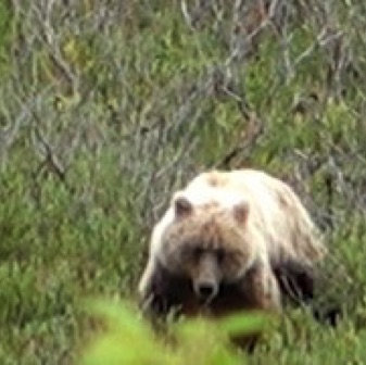 Screen Shot 2016-07-13 at 12.31.00 AM.jpg